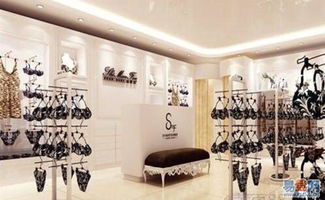 偉奧專業(yè)龍華內(nèi)衣店裝修設(shè)計(jì) 用心服務(wù)，打造專賣典范